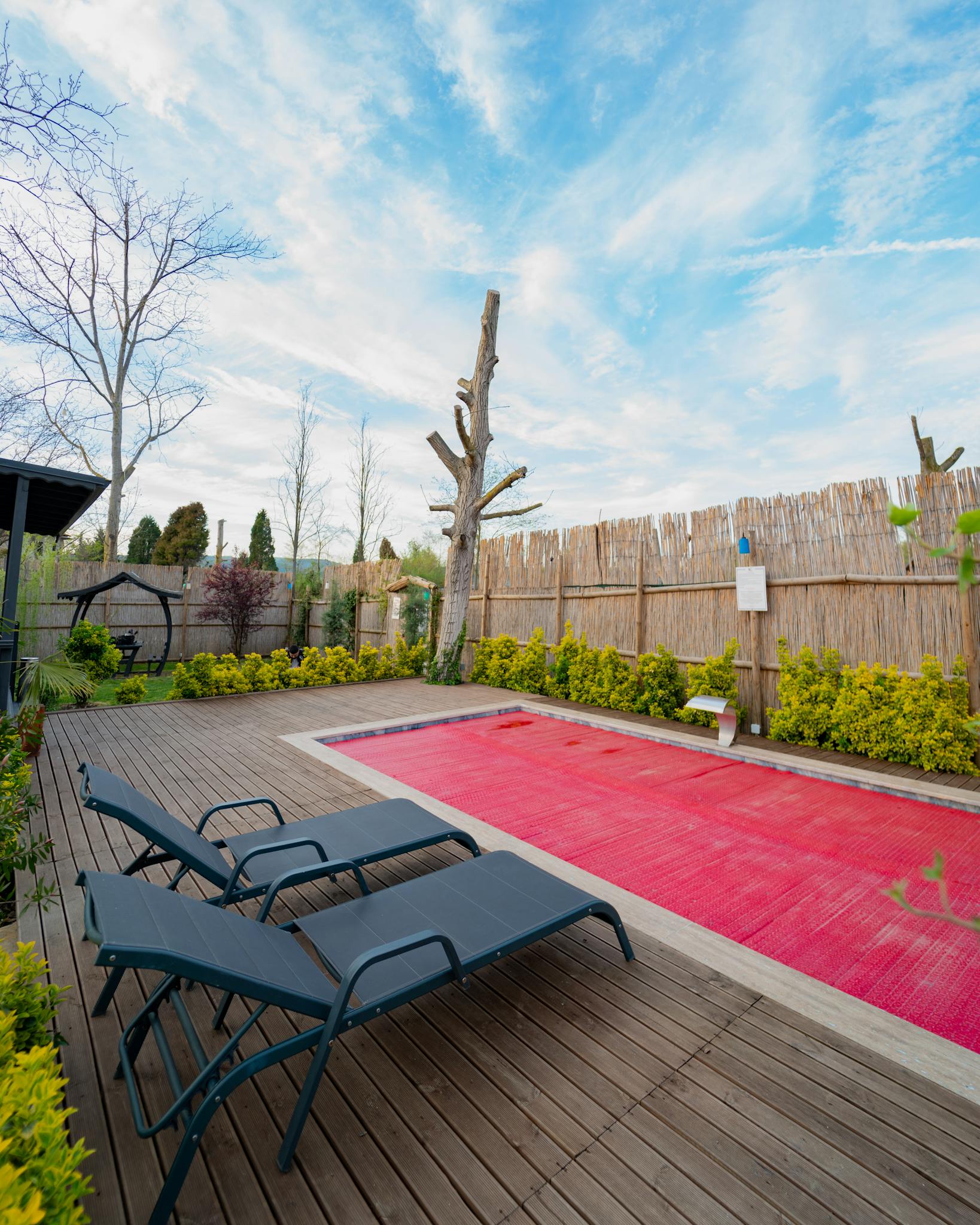 Outdoor poolside area with sun loungers and vibrant red rug on a clear day.